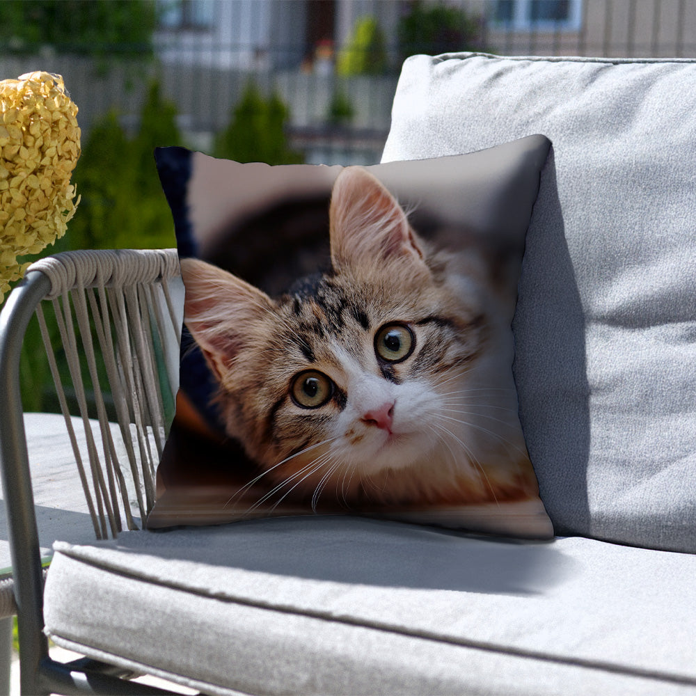 Custom Outdoor Pillow