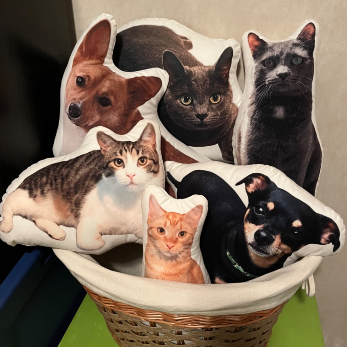 10" Mini Custom Shaped Pillow