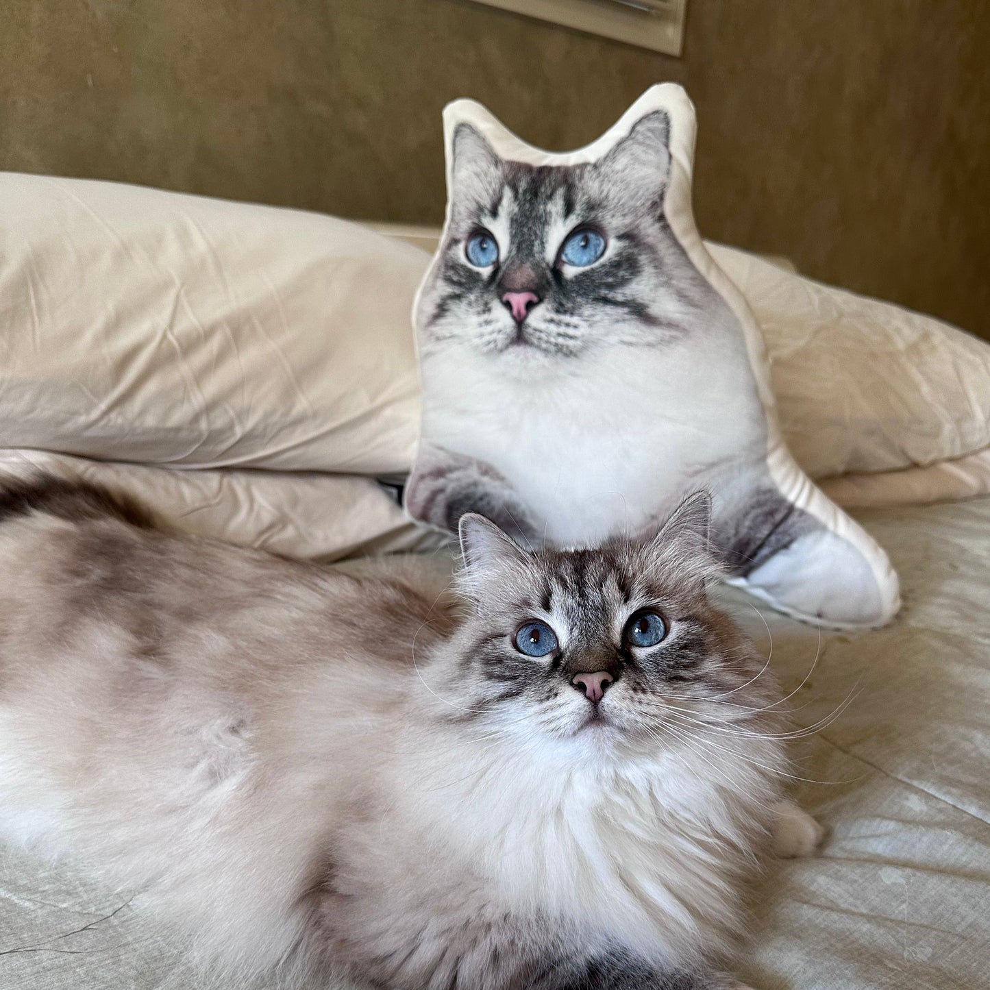 Custom Shaped Cat Pillow