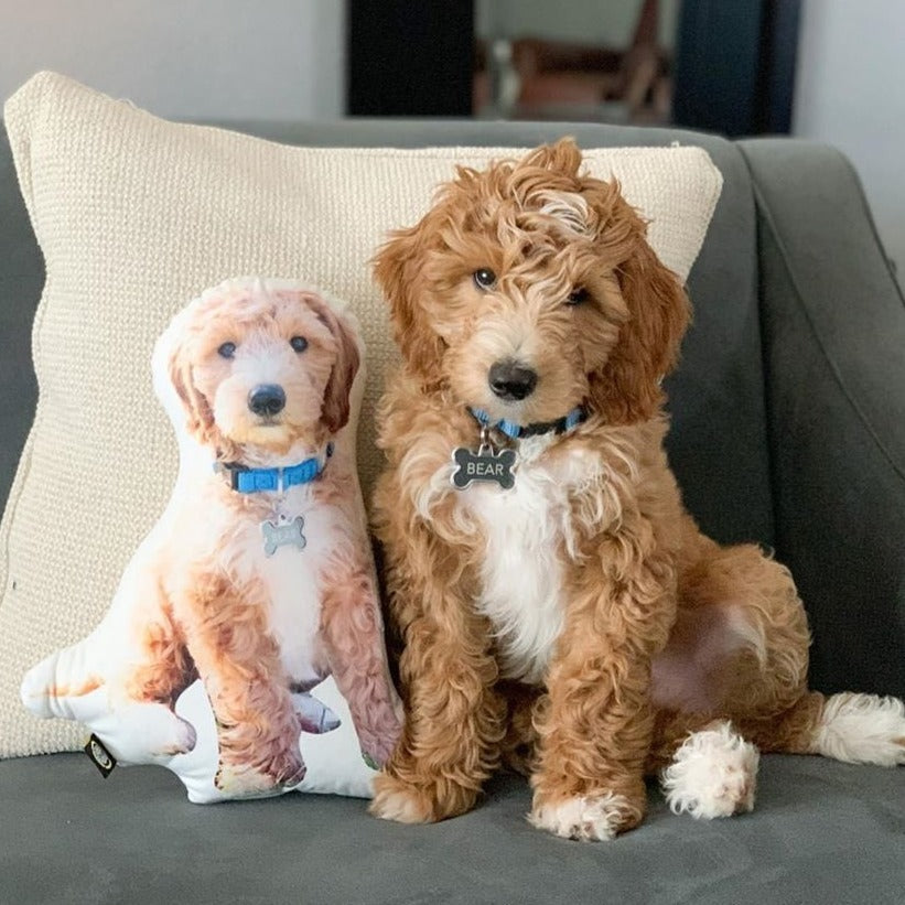 Goldendoodle Custom Shaped Pillow