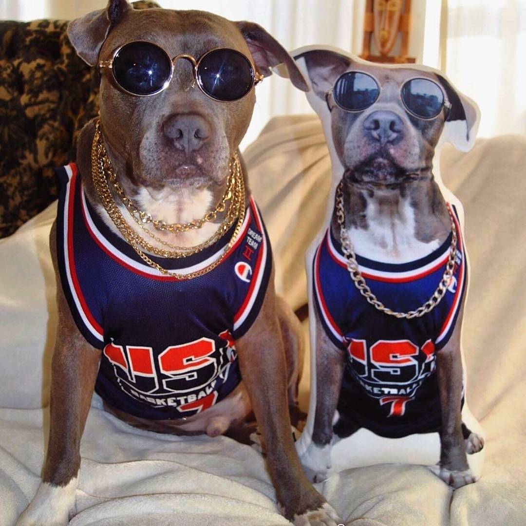 Pitbull Custom Shaped Pillow