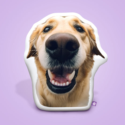 16" Small Custom Shaped Pillow Promo