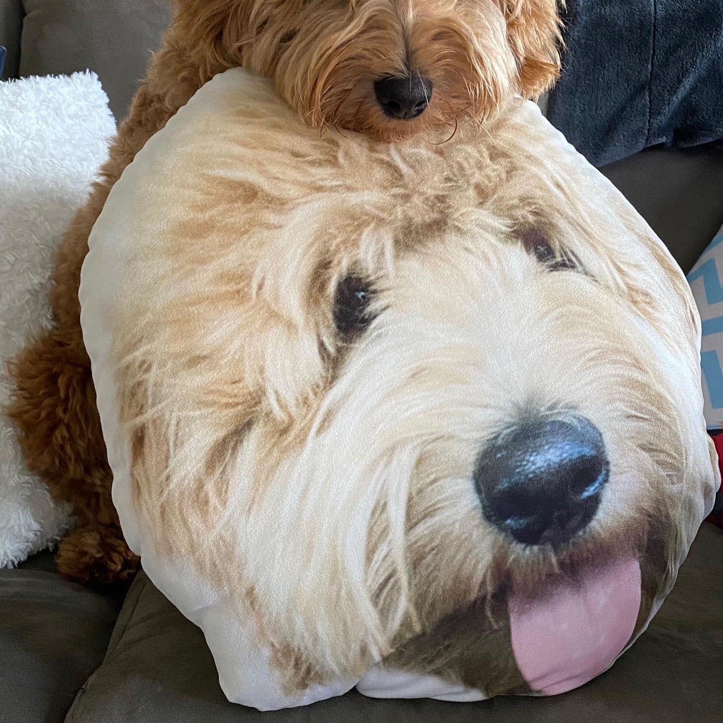 Goldendoodle Custom Shaped Pillow